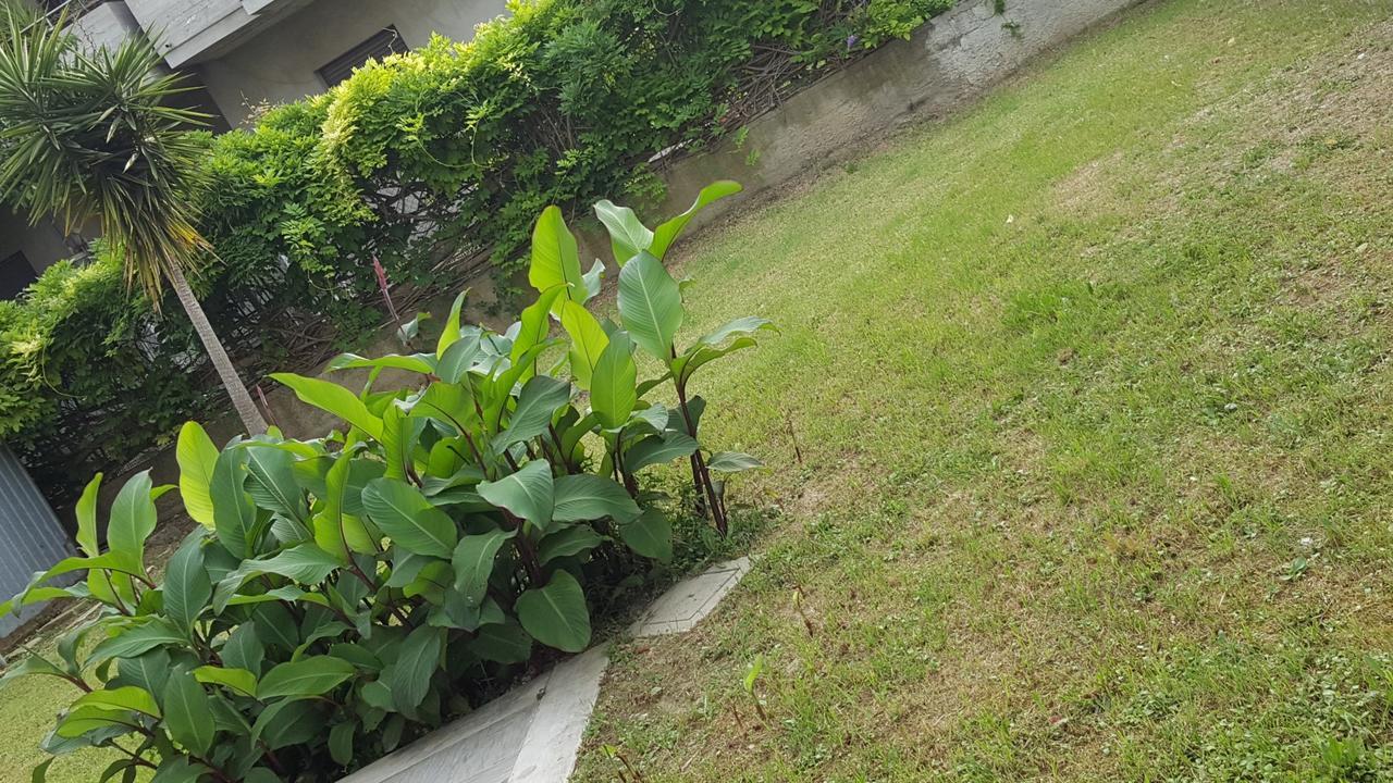Casa Vacanze Darena 토르토레토 외부 사진