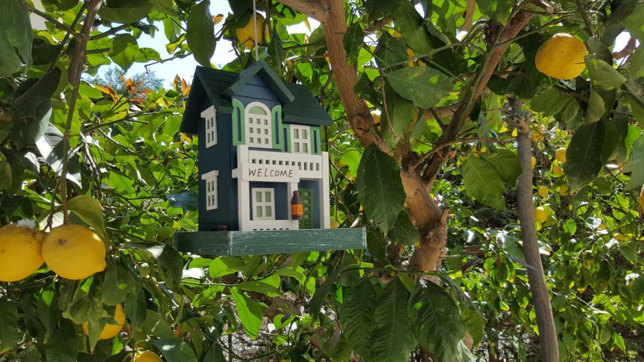 Casa Vacanze Darena 토르토레토 외부 사진